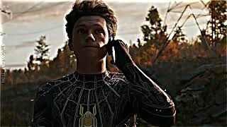 Spider Man Copnis Edit