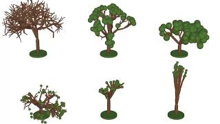 Procedural Trees