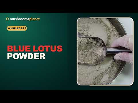 Blue Lotus ground video review