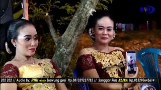 Gejul Tayub Jambu Alas Lkt