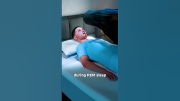 Thumbnail of How Sleep Paralysis Happens 🤔