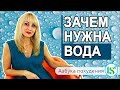 Стакан воды – это то, что надо, или почему нужно пить чистую воду