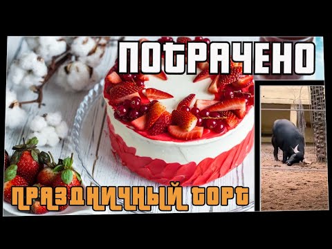 Потрачено. Праздничный торт. Лучшие приколы 2021, смешные видео и фейлы