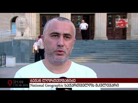 20-21 ივნისის საქმეზე დაკავებული ბეჟან ლორთქიფანიძე 5 000 ლარიანი გირაოს სანაცვლოდ გათავისუფლდა