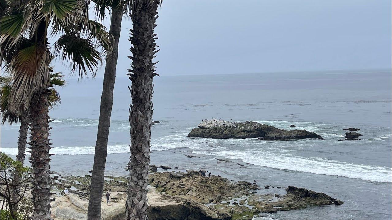 Metal detecting, Laguna Beach, California YouTube