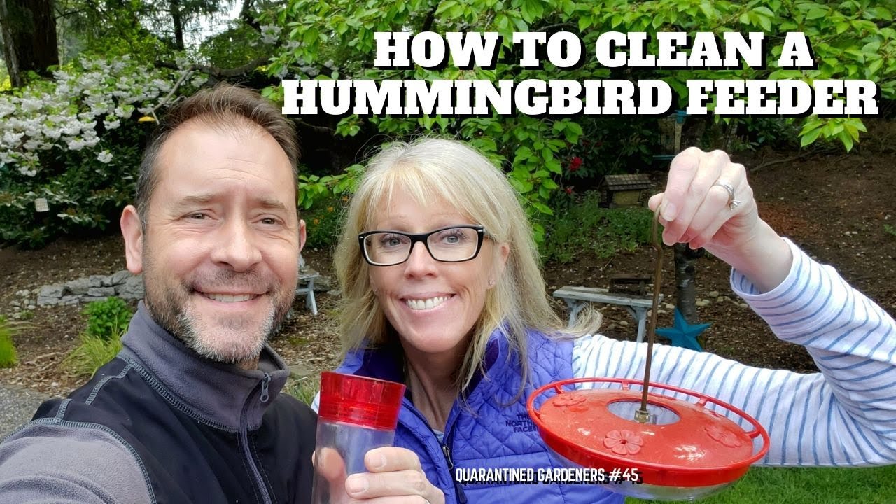 How to Clean a Hummingbird Feeder 💚 QG Day 45 - YouTube