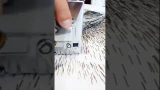 IMG 1616