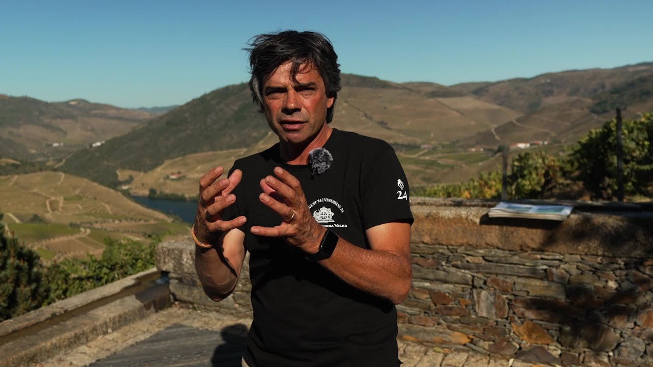 Quinta da Carvalhas, com Álvaro Martinho - Vindimas 2024