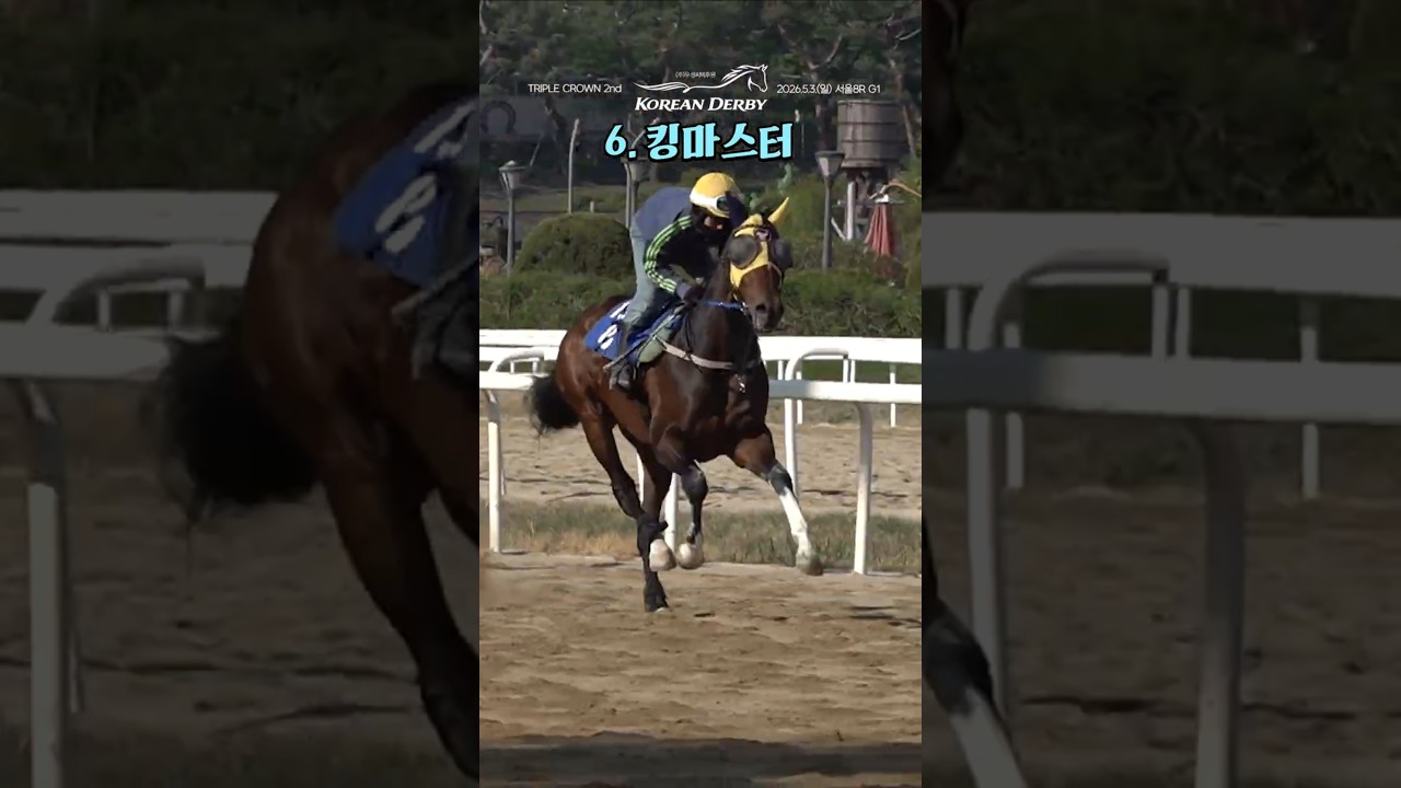 6.[서]킹마스터 #코리안더비 #트리플크라운