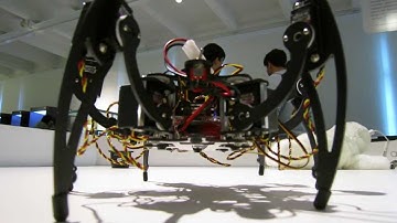 Hexapod MSR-H01 Robot