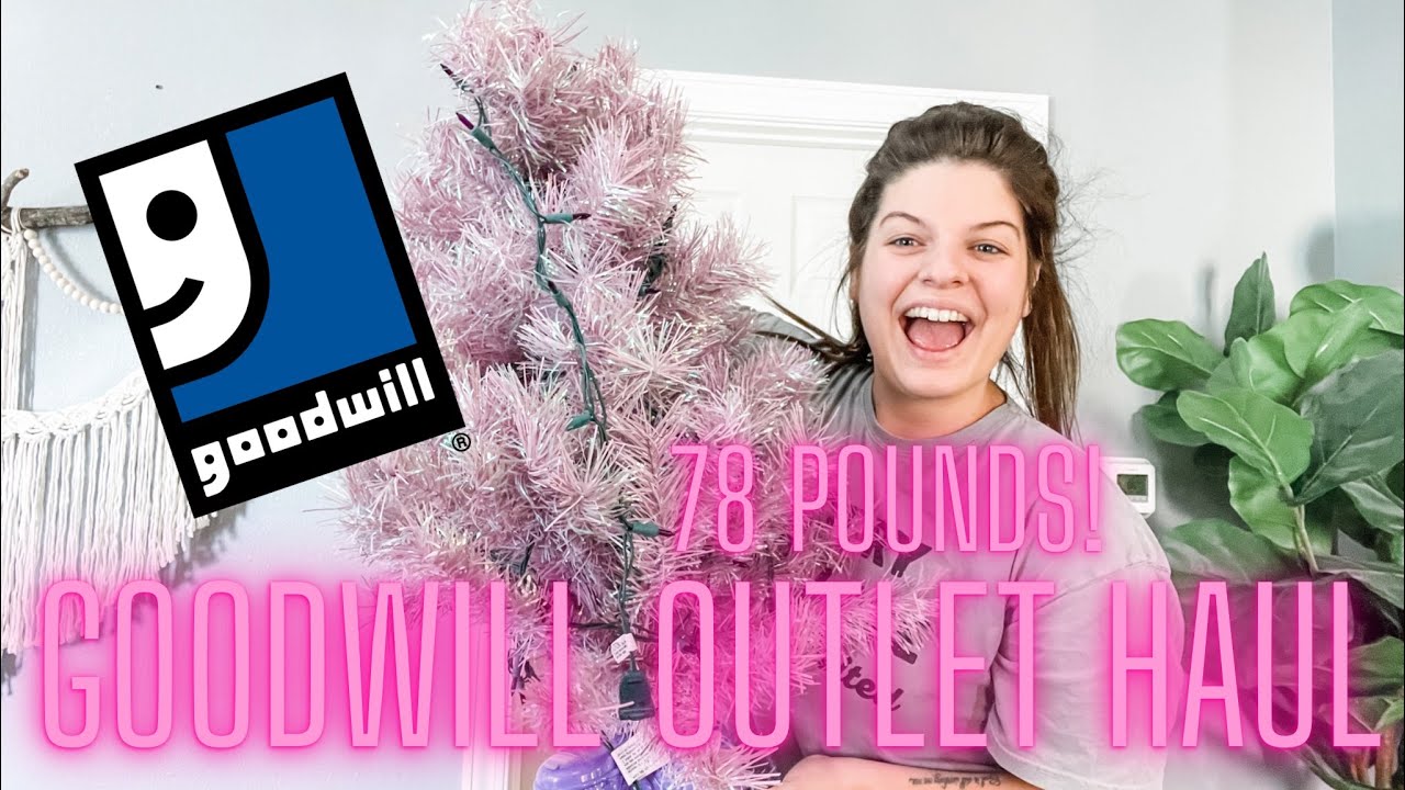 MY FIRST GOODWILL BINS HAUL ON YOUTUBE! I Bought 78 Pounds of Stuff To