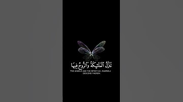 القرآن الكريم | سورة القدر | للقارئ إسلام صبحي | تلآوة خاشعة جميلة جدآ😌❤ | حالات واتس اب