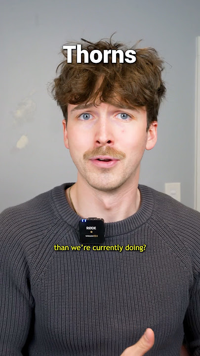 Minecraft Memilih Mantra Mana yang Akan Ditingkatkan🤣