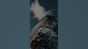 ﴿ ألم ترا أنّ الله يسجد له من في السماوات ومن في الأرض والشمس والقمر والنجوم | القارئ ياسر الدوسري