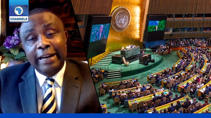 What Nigeria, Africa Should Learn 76th UNGA - Collins Nweke | Diplomatic Channel