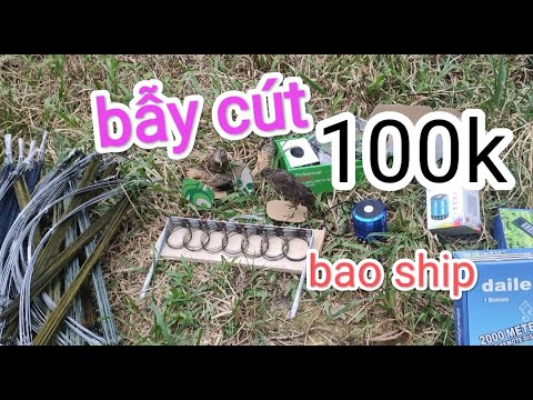 Video 100k - bộ bẫy cút giá rẻ nhất việt nam , cách bẫy cút... - youtube