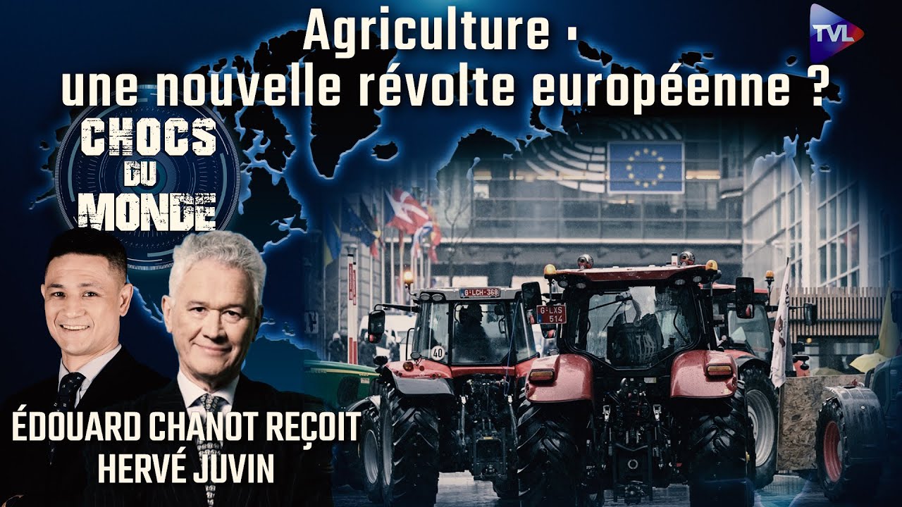 Derrière la crise agricole, la survie alimentaire - Chocs du monde avec Hervé Juvin - TVL