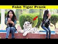 Fake Tiger Prank On Girl | Prank in Pakistan | @Hit Pranks