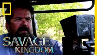 Death Of A Leopard Cub Behind The Scenes Savage Kingdom