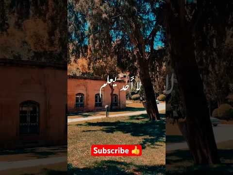 في هذه الحياه لا أحد يعلم ما أصابك Viral Subscribers Youtuber Beautiful Shorts Podcast Ai