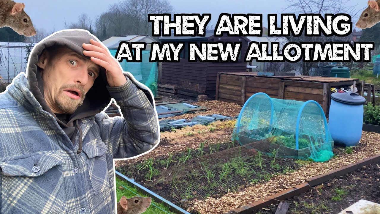 Это становится проблемой на моем новом участке! (Работы декабря, обновления и многое другое)