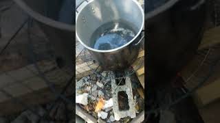 Making  Castor Oil