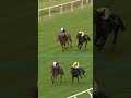 150/1 winner stuns at Carlisle 🤯