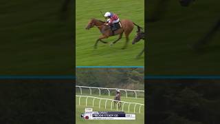 150/1 winner stuns at Carlisle 🤯