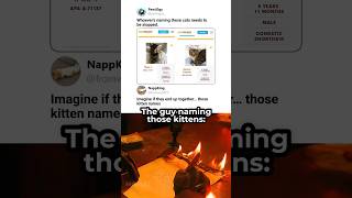 Their Kittens Would Have Crazy Lore 🐾🐱