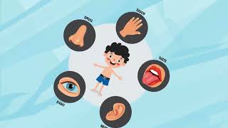 The Magic of the 5 Senses – Learning Fun for Kids!