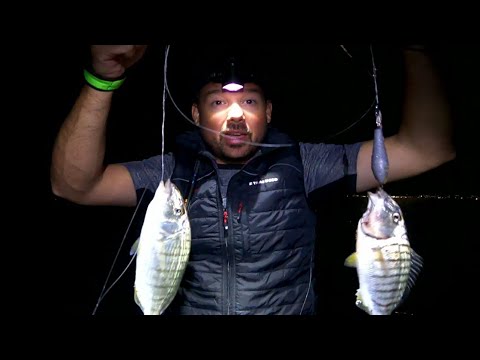 Βίντεο: Συνάντηση με ασυνήθιστα ψάρια - χειμερινή ψάρεμα από μπαστούνι