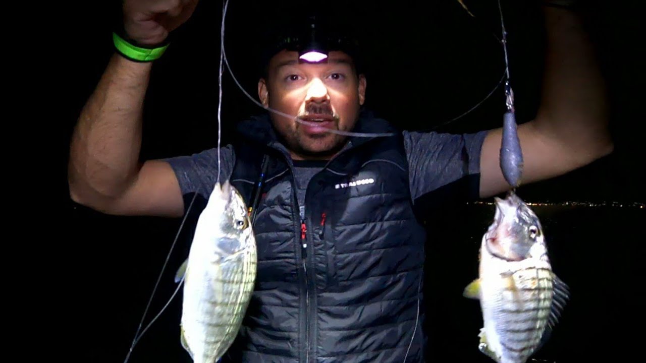 ΨΑΡΕΜΑ ΜΟΥΡΜΟΥΡΑΣ ΣΤΟΝ ΝΟΤΙΟ ΕΥΒΟΙΚΟ