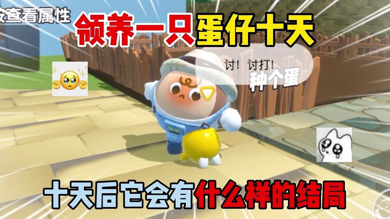 蛋仔派对：领养一只蛋仔十天！十天后它会有什么样的结局？