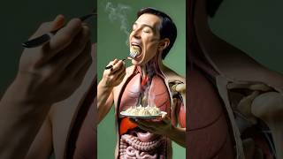 Momos Khane Ke Side Effects 😱 सच जान लो!” Body Reaction Explained 3d #shorts #3danimation