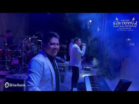 La Gitanilla En Vivo🔴✅ Esplendidos De Oaxaca 🇲🇽