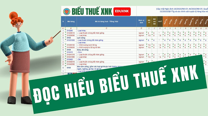 Biểu thuế xuất nhập khẩu 2023 hóa xuất nhập khẩu