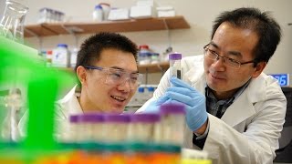 Enhancing research through research collaboration