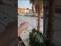Ho Visto I BRAINROT in Italia Dal Balcone di Casa Mia!🇮🇹😱 #giox97 #shorts #horror #brainrot #ps5