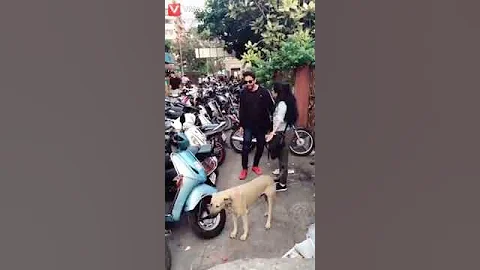 Dog  Sasur ji very funny video