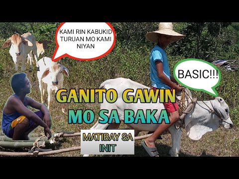 Video: Paano Ayusin Ang Pagsasanay Sa Kawani