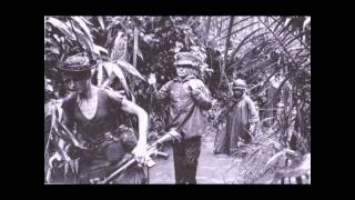 Cherries - A Vietnam War Novel