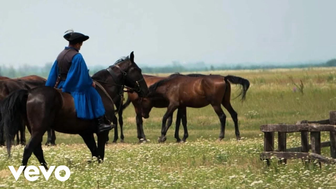 DJTESLA69 - Esik eső, szép csendesen csepereg