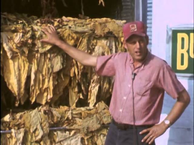 tobacco bulk barn dryer - FE300 - SPAPPERI The Rich History of Tobacco