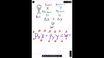 Learn the Budget Constraint in 60 Seconds — No Memorization Required #econ #economics #education
