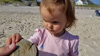 Workation Begins on Cherry Grove, Fire Island