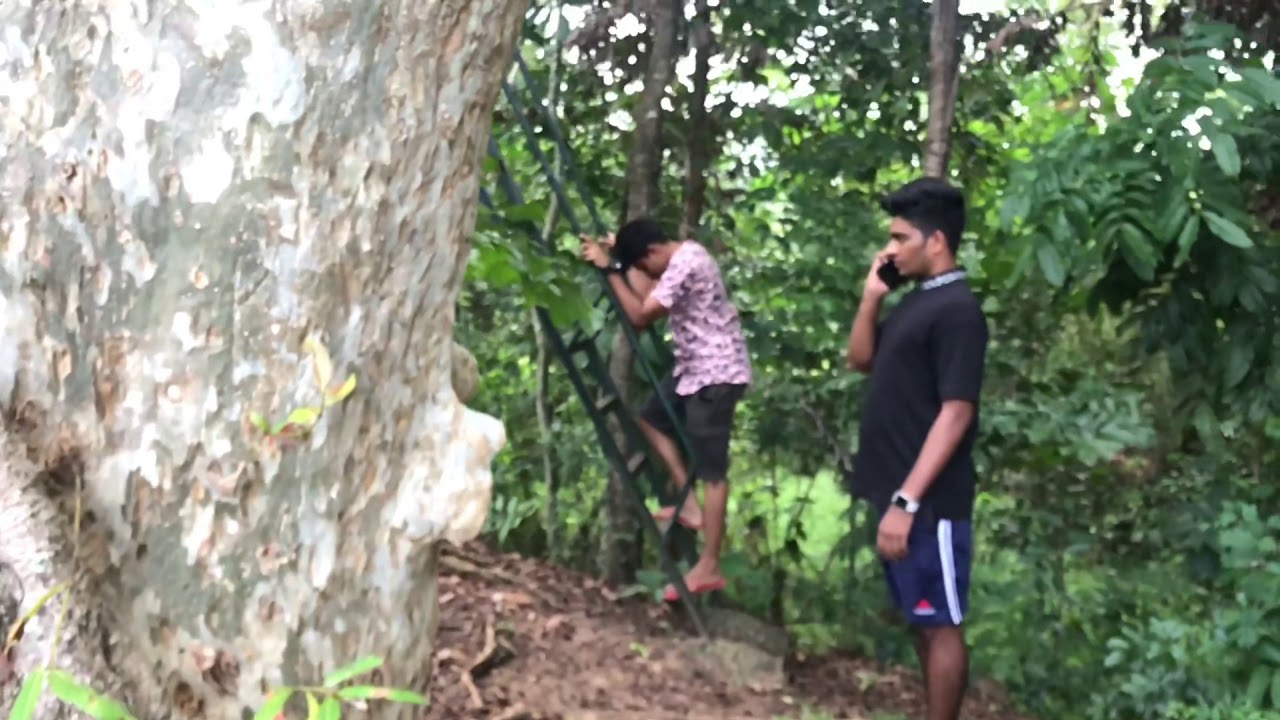 Badagamuwa Forest Visit Kurunegala YouTube