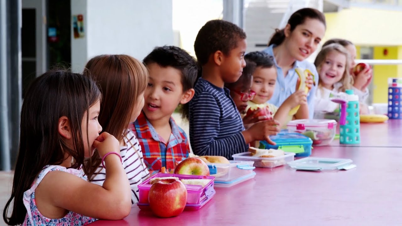 What is Meals From the Farm?