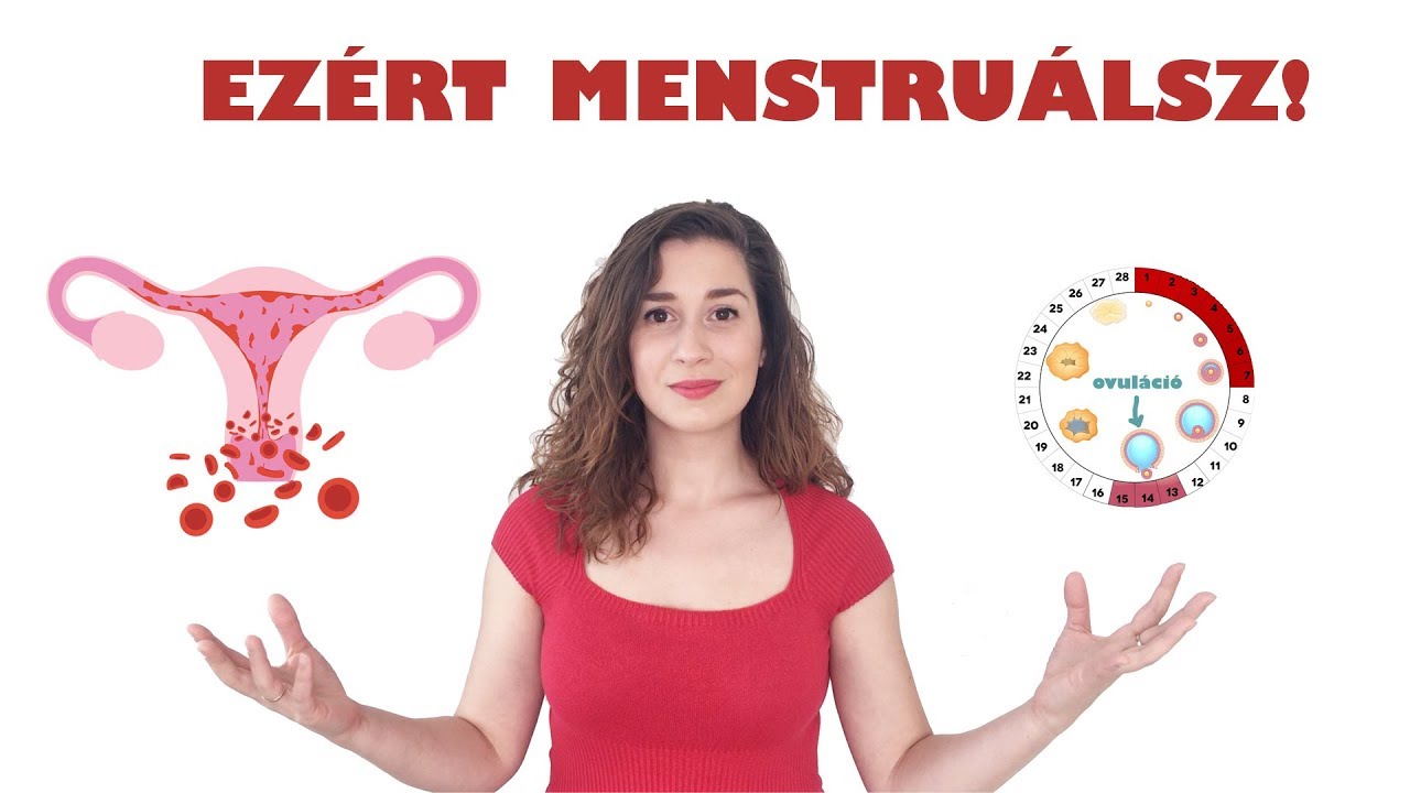 menstruáció randi