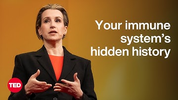 The Incredible Secrets Hidden in Your Immune System | Beck Brachman | TED