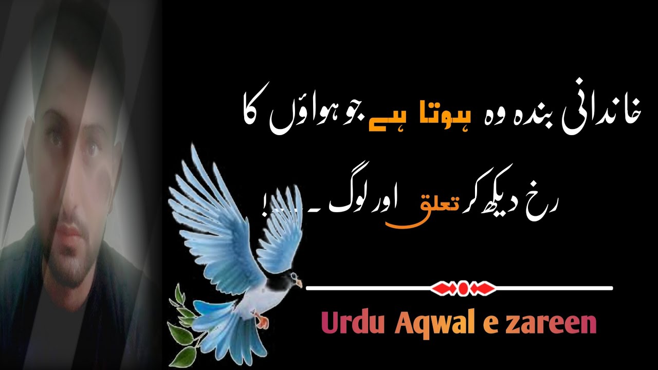 Khan Dani bnda🌼!! Urdu Aqwal status!! Anmol moti